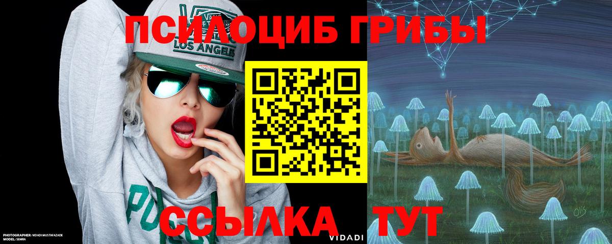 Псилоцибиновые грибы мицелий Жигулёвск