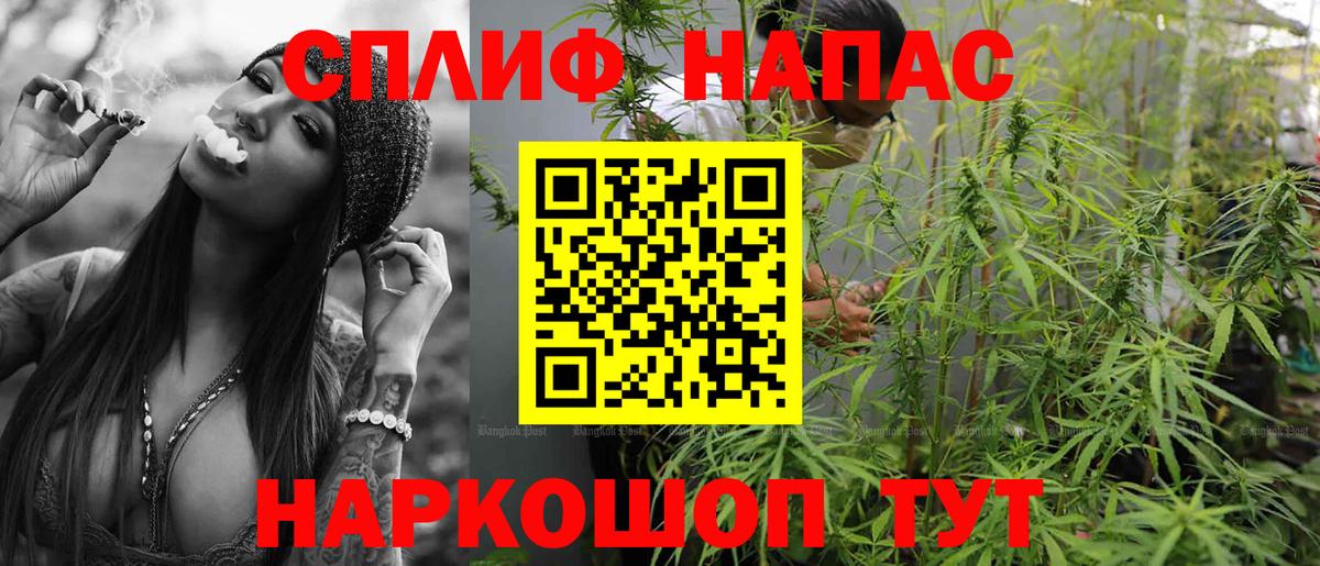 Бошки марихуана сатива Жигулёвск